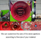 Zhengzhou Sinolion Mobile Wet Type Trommel Screen Rotary Drum Screen Equipment for Compost 6200 KG
